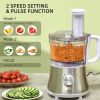 2 in 1 Blender and Food Processor Combo for Chopping, Slicing, Shredding, Mincing and Pureeing for Vegetable, Meat and Nuts, 500W 5-Cup Bowl